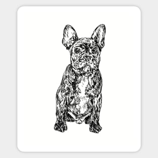 French Bulldog - ink drawing Sticker